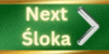 Next Śloka